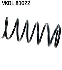SKF VKDL 81022